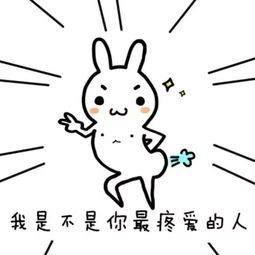 框子代表哪个生肖？框子究竟是什么东西？