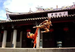 历史持续发展乱七八糟的背景