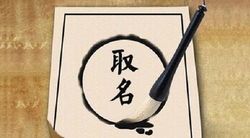 有哪些摄影主题名称蕴含文学精华，听起来忒别悦耳动听？