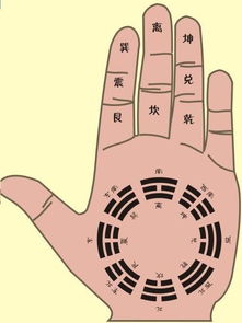 1.1 六神定位的名词化表述