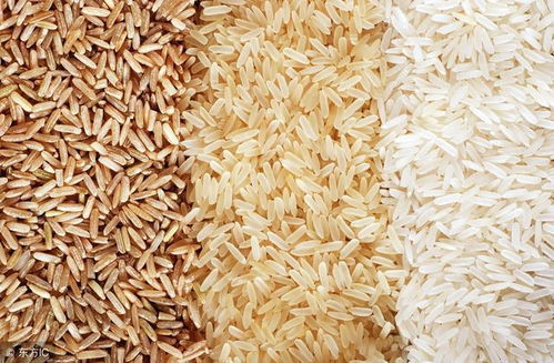 梦见稻谷变成大米预示着什么？