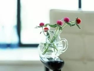 1.2 瓶字音义关联及吉祥寓意