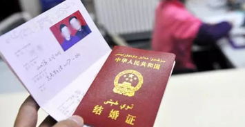 1.1 合同主体资格