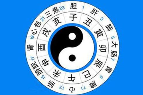 生肖属性：属蛇之命明白读与社会周边环境认知差异