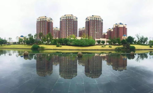 深圳皇岗—红树林片区：珠江入海口的湿地宝地