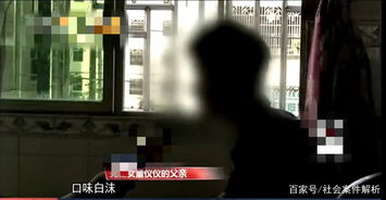 案件概述与基本信息