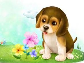 狗和虎三合意味着什么，男狗女虎八字配对是否合适？