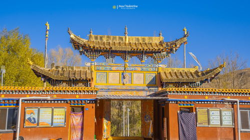 周边景点：延伸禅意之旅（或者说……）