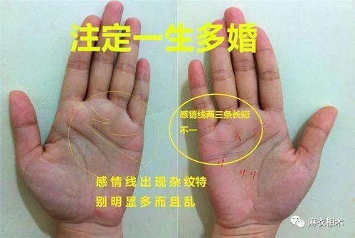 三、 现代社会的机遇与挑战：重新评估“朝天鼻”女性的发展前景