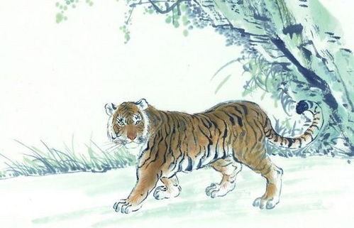 属虎女人旺财运的花是什么？属牛人最旺的花是什么花？