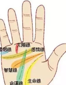 智慧线的类型及其影响