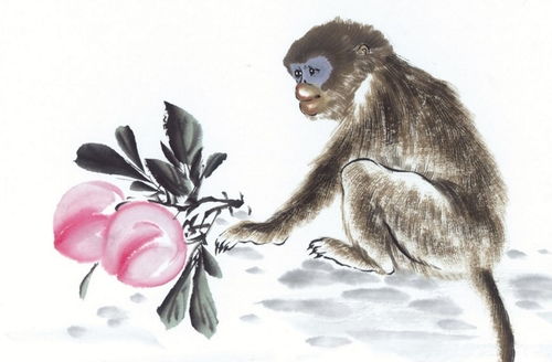 属猴纹身图案对财运好的男性来说，哪种纹身设计更吉利？