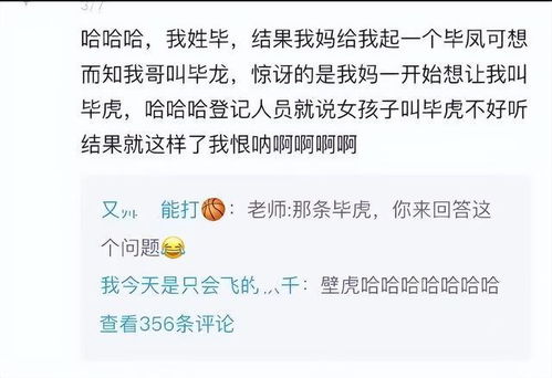 名称来源与历史渊源（随手写碎碎念）