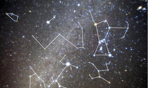 狮子座：死要面子活受罪