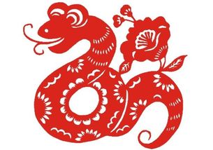 2026年属蛇本命年不能佩戴哪些物品？蛇年本命年转运吉祥物有哪些？