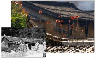 三、  老屋较低泣：空间范围能量与历史持续发展记忆