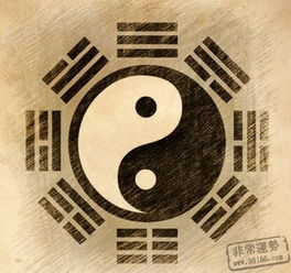 惯与细小华的一切秘密