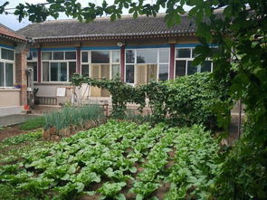 3. 自然景观与人文环境的有机融合