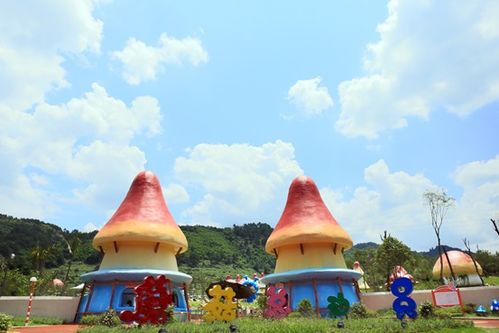 一、林菌谷到底是啥玩意儿？