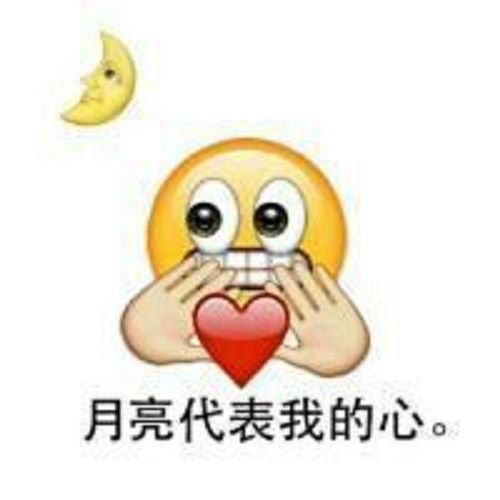 1.3 星座与生肖的多重维度解读