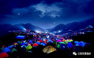 4.2 夜生活 —— 海边酒吧 + 烤鱼 + 打卡自拍
    （记得把防蚊液涂满全身）