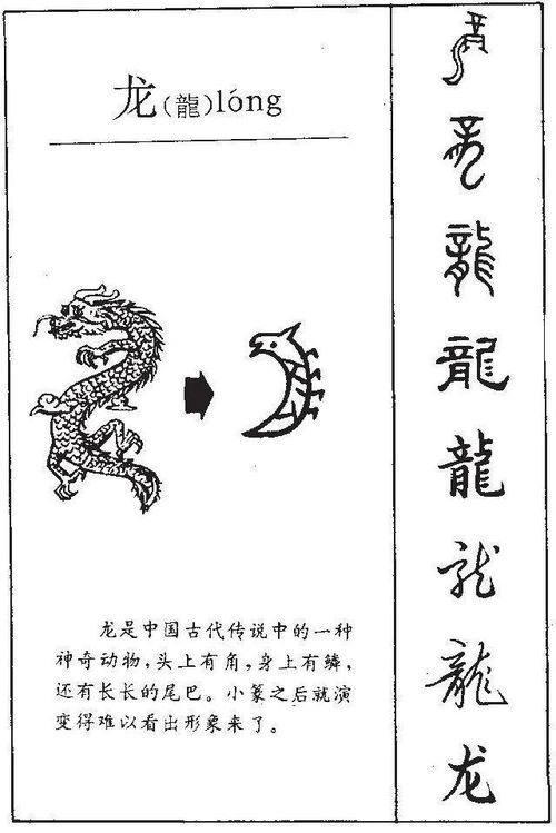 结合生肖龙的特性取名