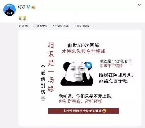 具体案例分析 (纯属娱乐!)