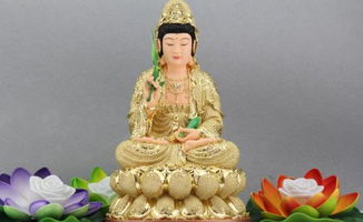 女人梦见假观音菩萨预示着什么？