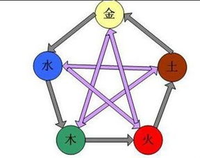 土和木的八字组合在一起会有什么特点或影响？