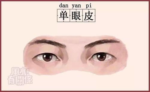 情感运势