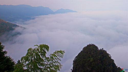 云雾缭绕的生肖动物，长尾的是什么生肖？