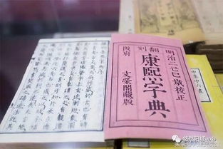 齔字的基本信息