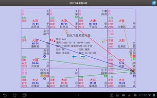 二、 “四化飞星”合婚时常用检验步骤