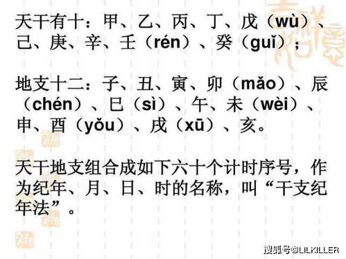 ：戊寅土虎的命理概览与五行属性