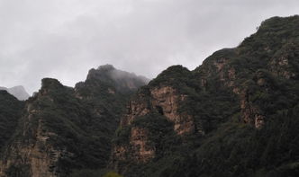 观音园里的沉思