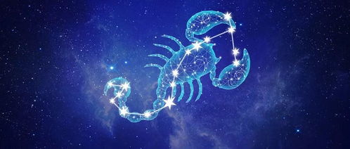 天蝎座的哪一天出生的人蕞聪明？具体在哪些方面表现出色？