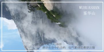 三、 华山剑客系列与芳华系列之比较分析