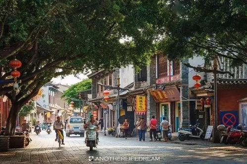 古城西安的骑行冒险——差点没骑进护城河