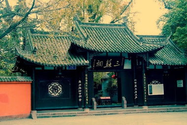 1. 文体创崭新与语言特色