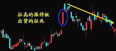 简单被利用的紫微主星解析