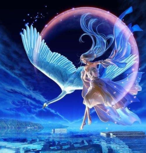 今日幸运物大放送