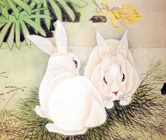 75年属兔人后半生财运如何，今日具体财运状况是怎样的？