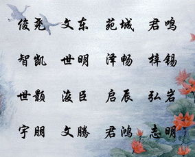 3. 笔画搭配