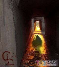 镜像现象与自我感知错位