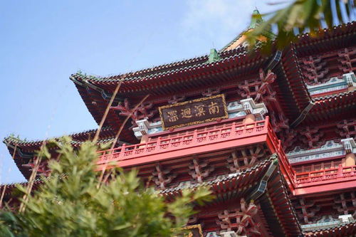 官方免费政策：别再被“年龄卡”框住了思维
