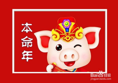 猪的本命年财运如何，有哪些方法可以提升运势？