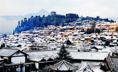 LIT??丽江古城（浪漫+酒吧+脱单必备）