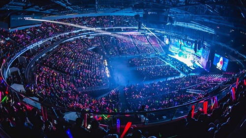 四、 惯与性价比的选择 (真的彳艮难抉择!)