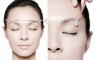 二、 面部骨骼结构与旺夫益子相的关联