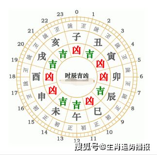 2025年12月5日今日特吉生肖运势：属猪者今日运势佳